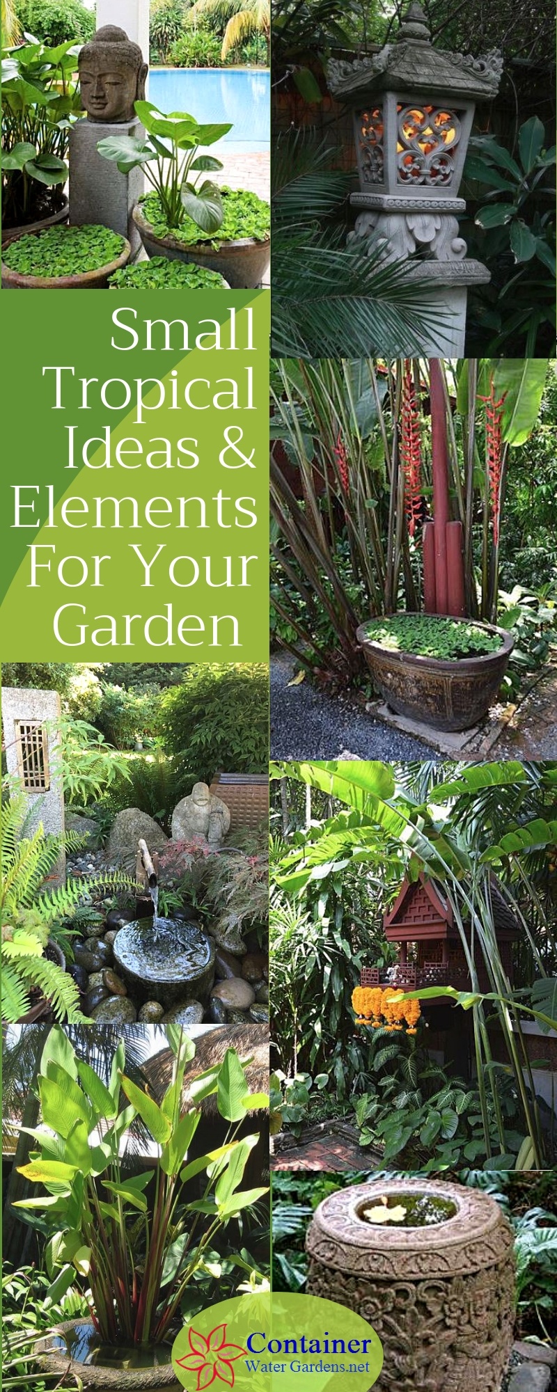 Small Tropical Ideas & Elements For Your Garden