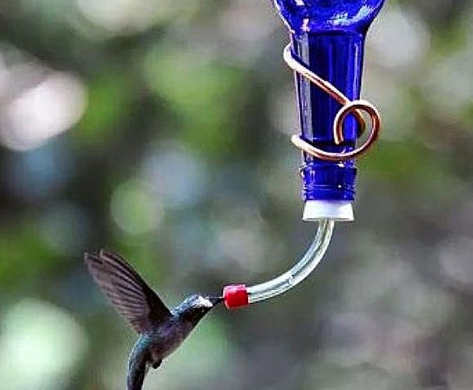 Make A Wine Bottle Hummingbird Feeder Container Water Gardens - Diy Wine Bottle Bird Feeder Parts