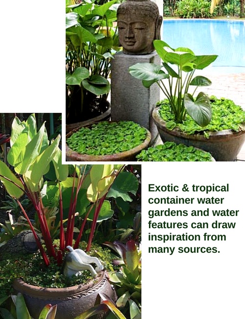 Exotic and tropical water features