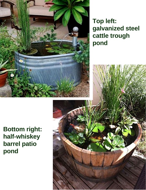 Rustic container water gardens