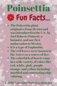 Poinsettia fun facts