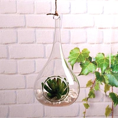 Glass Hanging Succulent Terrarium