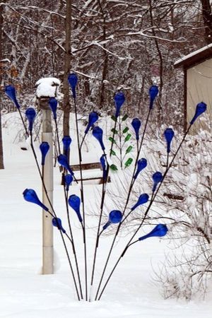 Bottle trees in the landscape really stand out in the snow.