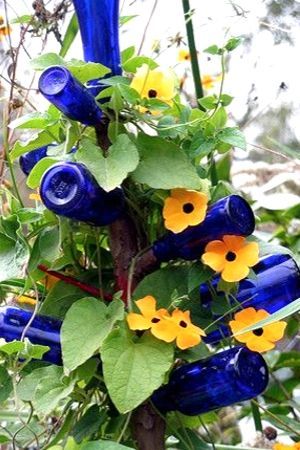 Bottle trees on wooden posts also make a nice trellis to grow annual vines onto.