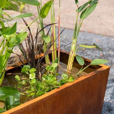 Corten steel water garden