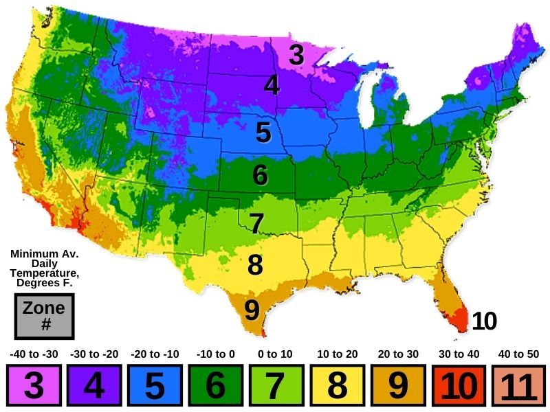 Plant zone hardiness map - Container Water Gardens