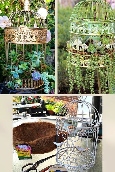 Birdcage planters image collage