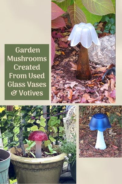 Garden mushroom image collage