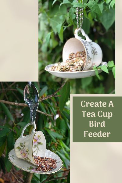 Tea cup bird feeder image collage
