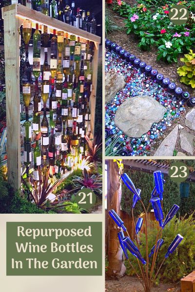 Wine bottle wall, border, and bottle tree image collage