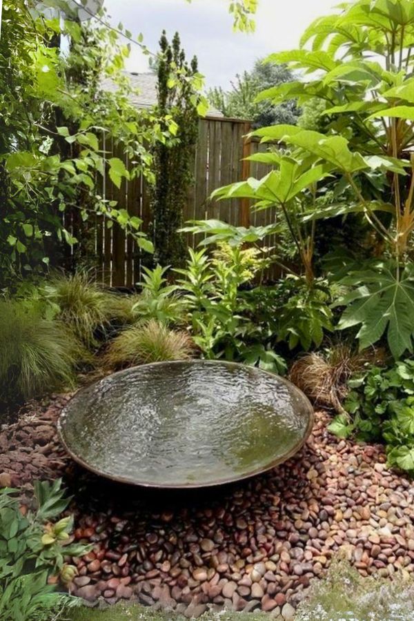 A simple sugar kettle water bowl